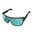 Ability Glasses