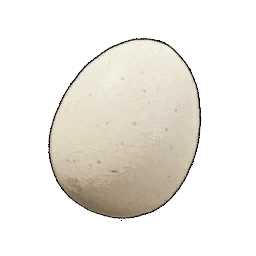 Egg