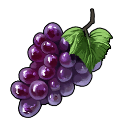 Grape