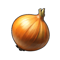 Onion