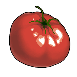 Tomato