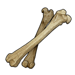 Bone