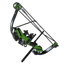 Compound Bow