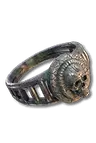 Ring of Mendeln