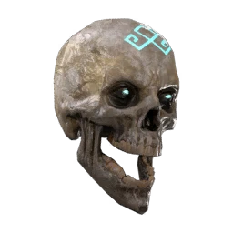 Branded Skull