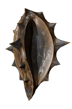 Meruna Shell