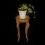 Houseplant and Chair