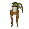 Houseplant and Chair
