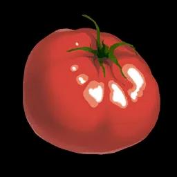 Tomato