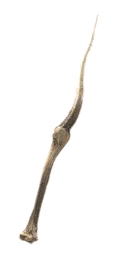 Bone Dagger